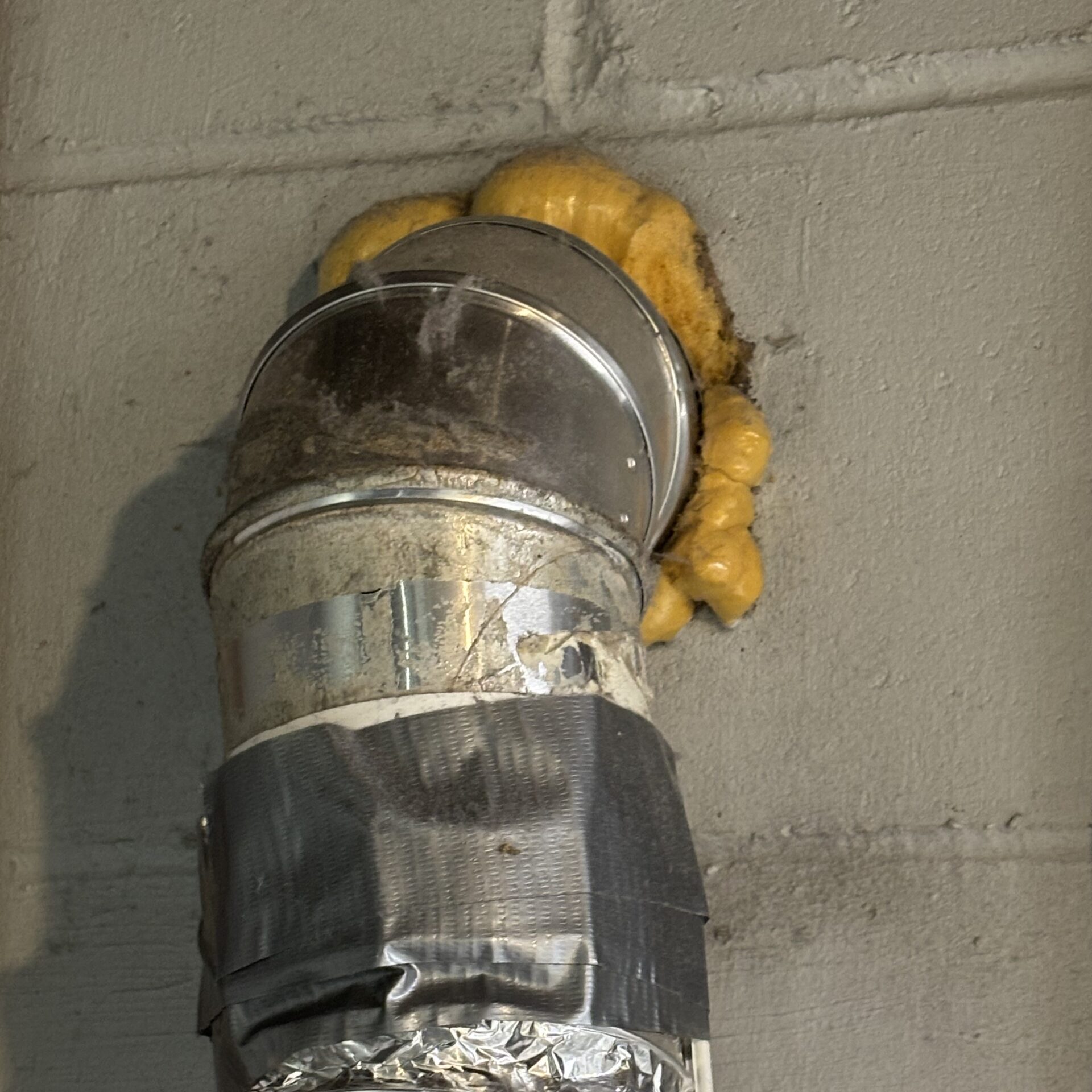 IMG 3505 Scaled E1776600837927