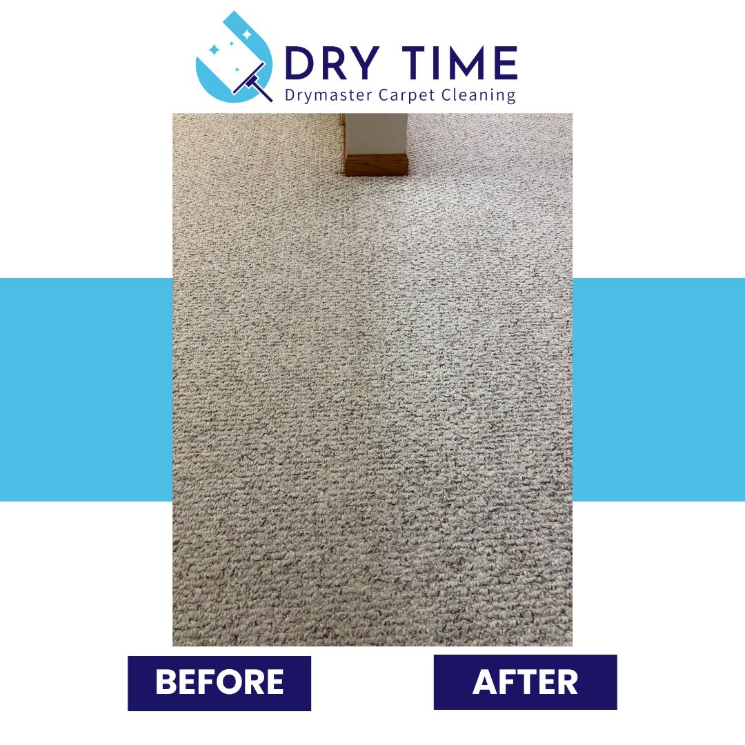 ba carpet closeup bwnsxxgt